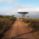 Najpiękniejsze miejsce na świecie – Ngorongoro [galeria zdjęć]