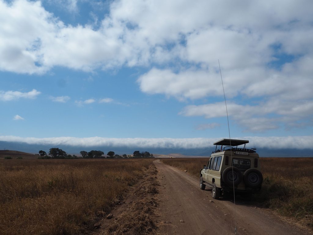 Martyna Skura, Tanzania, Ngorongoro, safari