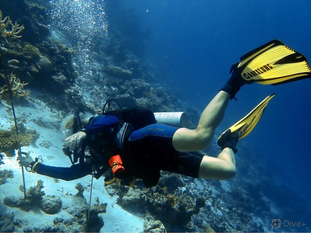 - Malediwski akademik