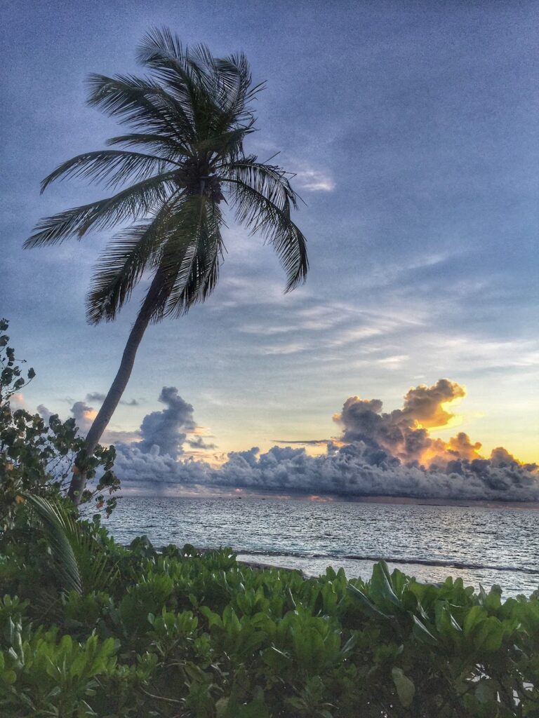 - Malediwski akademik