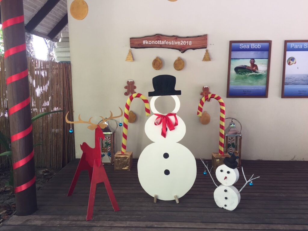 - Malediwski akademik