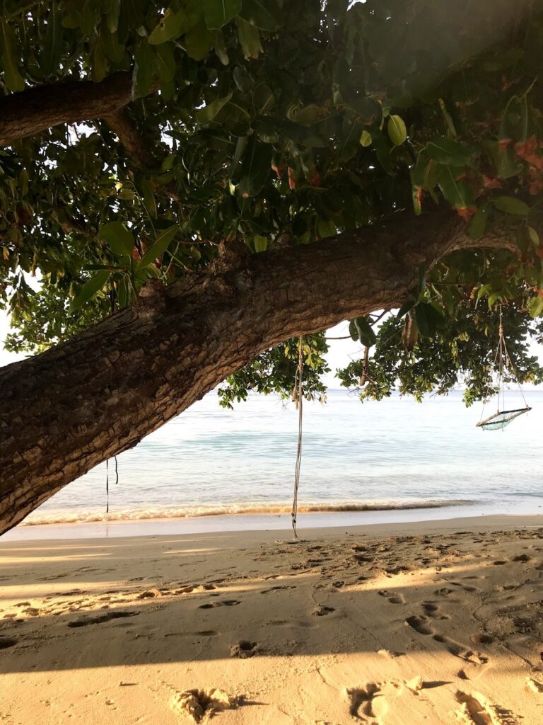 - Pływanie z mantami w Hanifaru Bay na Malediwach [post praktyczny]