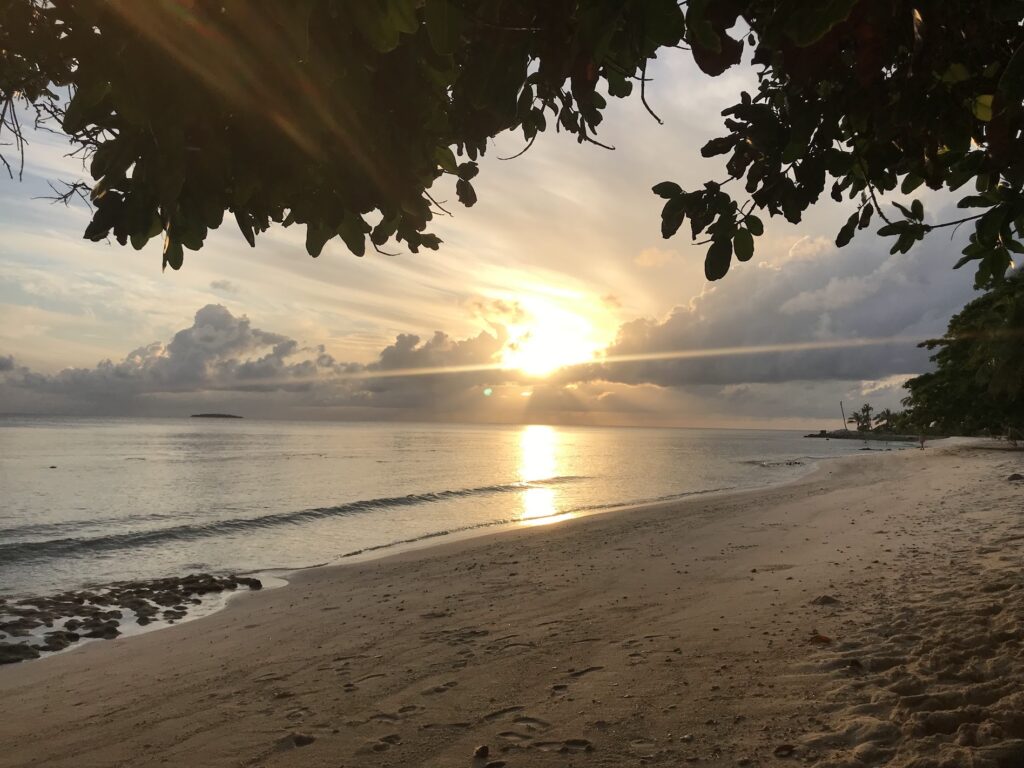 - Pływanie z mantami w Hanifaru Bay na Malediwach [post praktyczny]