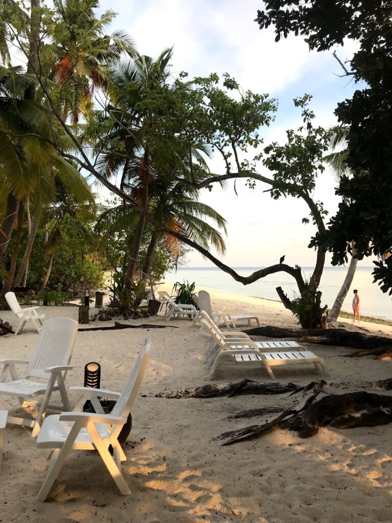 - Pływanie z mantami w Hanifaru Bay na Malediwach [post praktyczny]