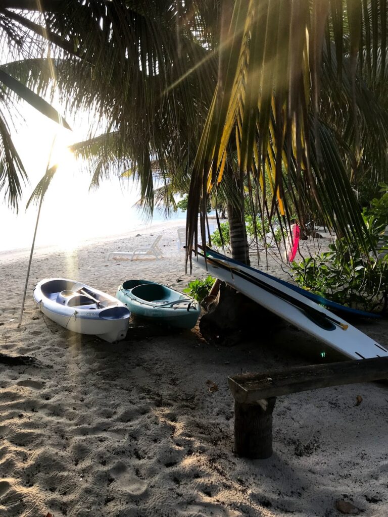 - Pływanie z mantami w Hanifaru Bay na Malediwach [post praktyczny]