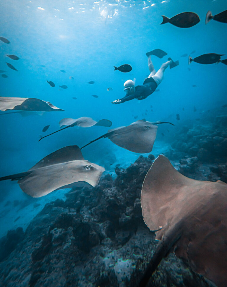 Martyna Skura - O mnie