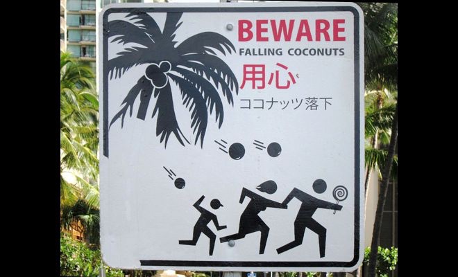 - Nie taki rekin straszny