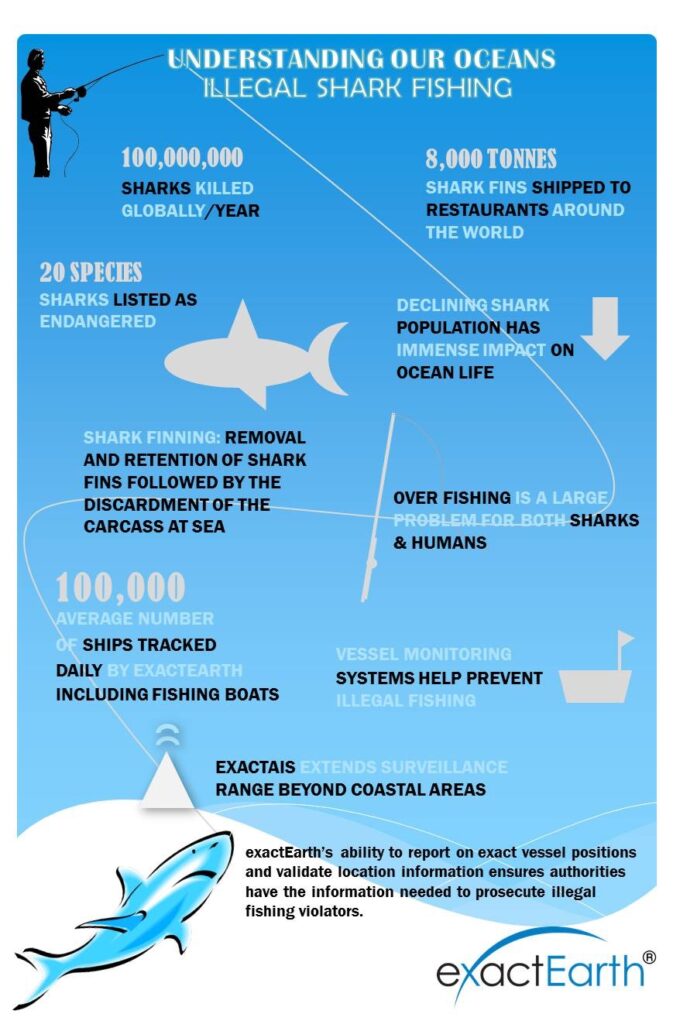 - Nie taki rekin straszny