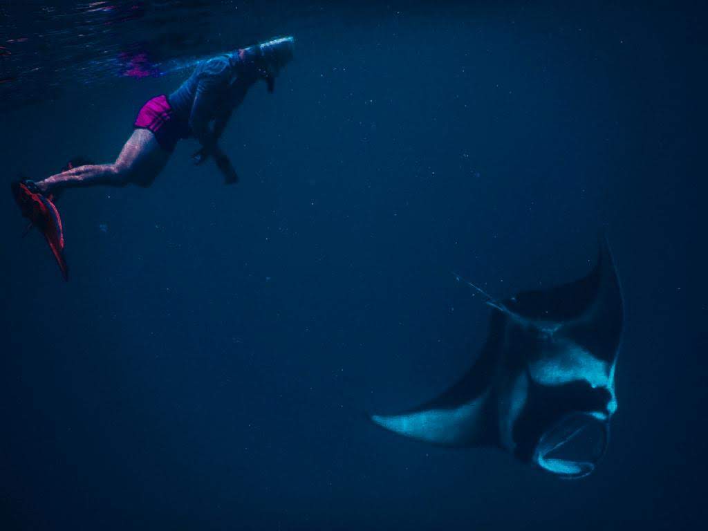 - Pływanie z mantami w Hanifaru Bay na Malediwach [post praktyczny]