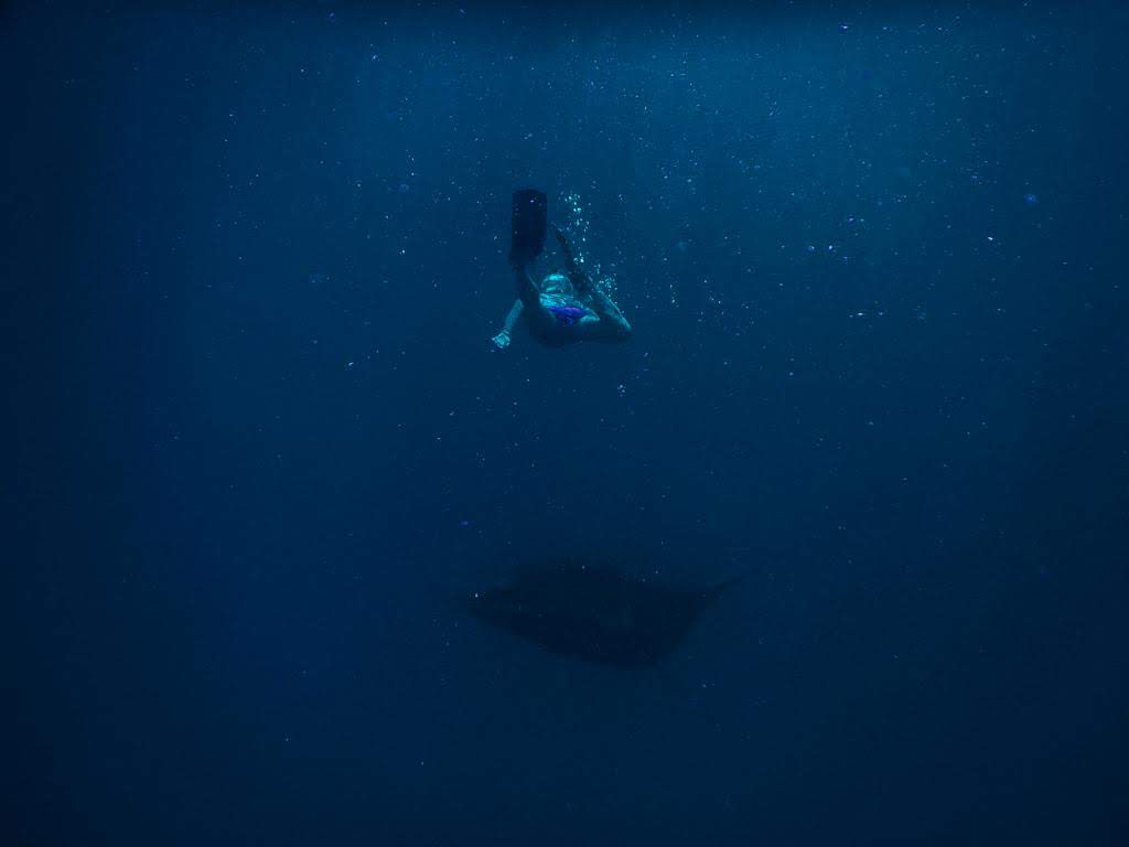 - Pływanie z mantami w Hanifaru Bay na Malediwach [post praktyczny]