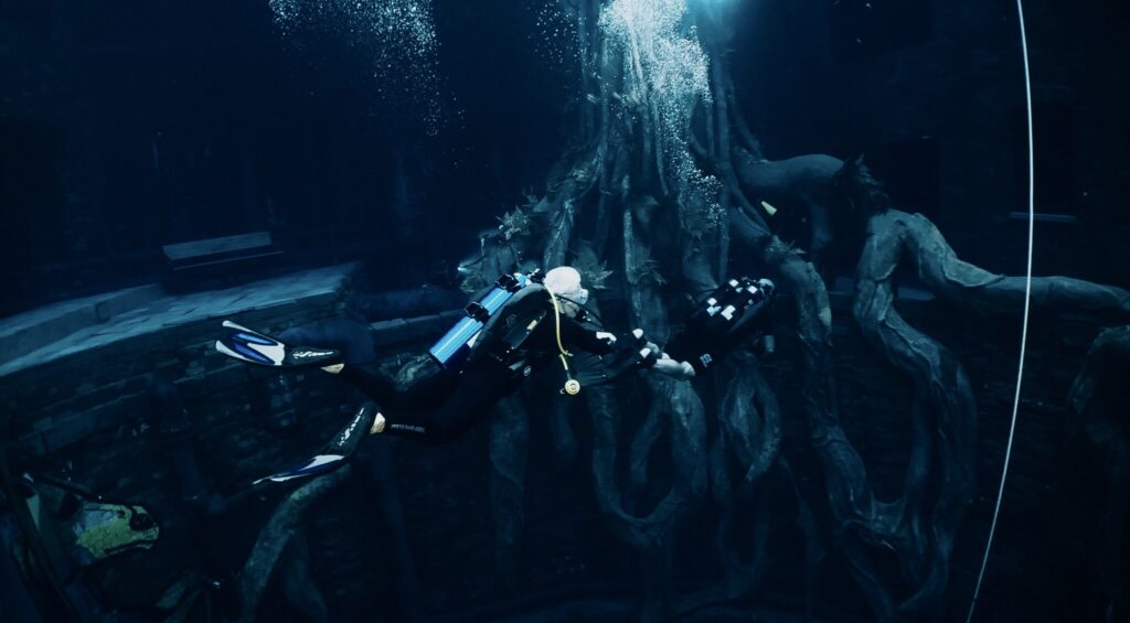 - Kariera nurkowa – co może robić nurek?