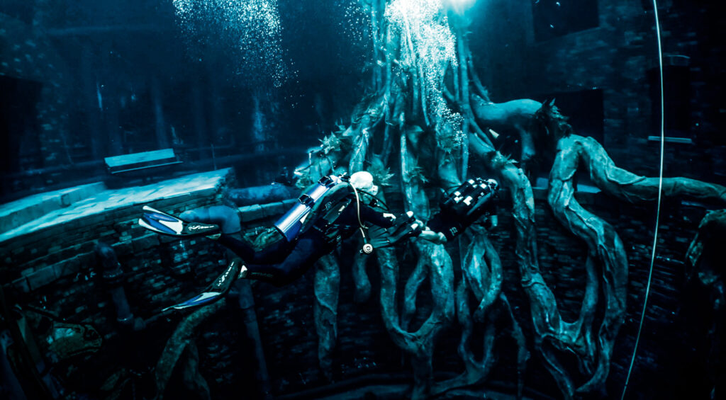 - Kariera nurkowa – co może robić nurek?