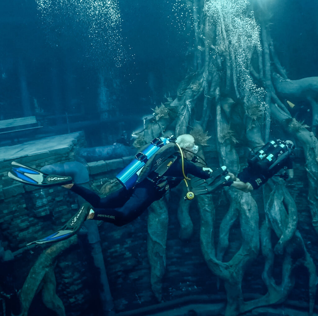 - Kariera nurkowa – co może robić nurek?