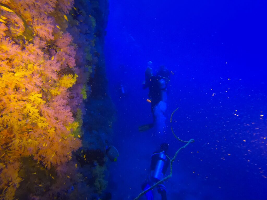 - Nurkowanie na Malediwach [post praktyczny]