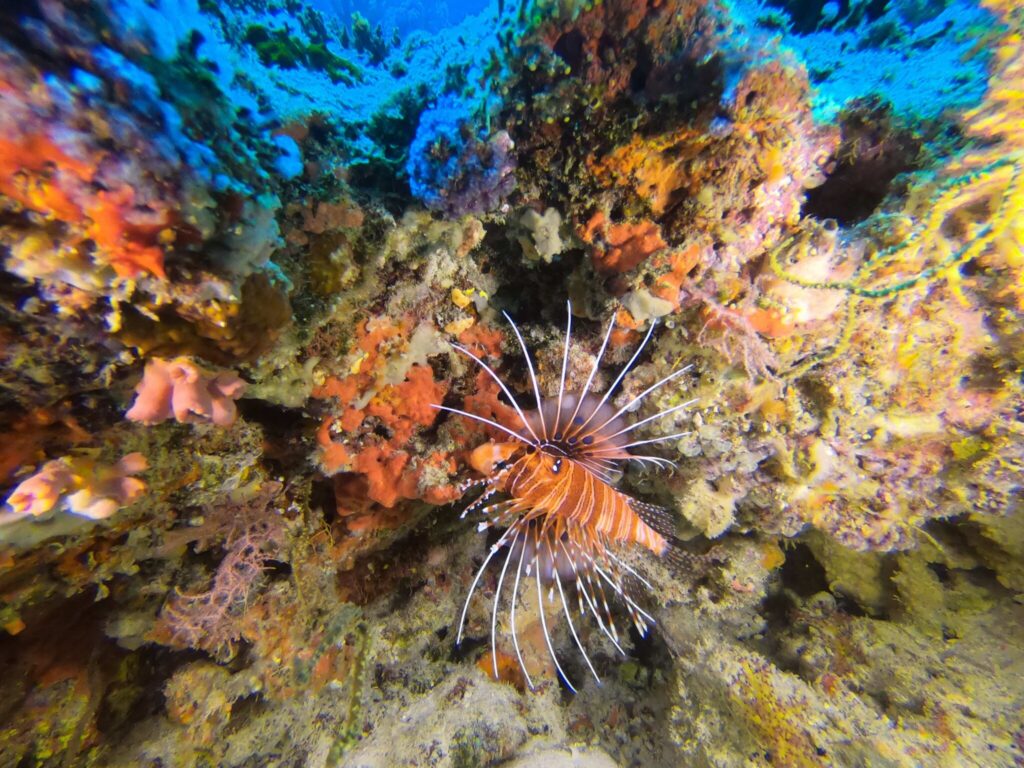 - Dotykać czy nie dotykać? Oto jest pytanie