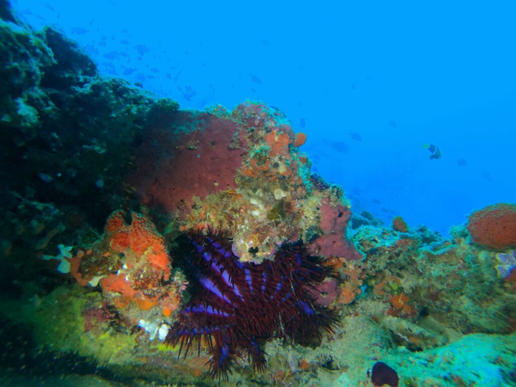 - Dotykać czy nie dotykać? Oto jest pytanie