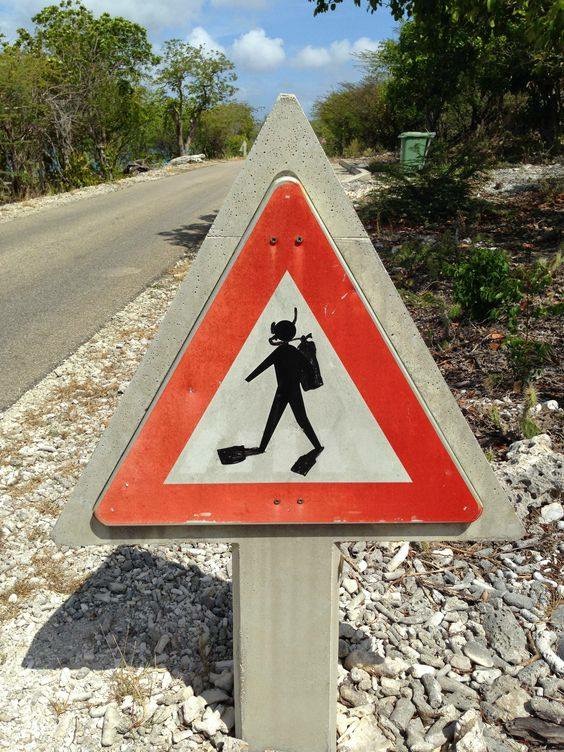 - Przypowieść o pewnym nurku i co z nim dalej….