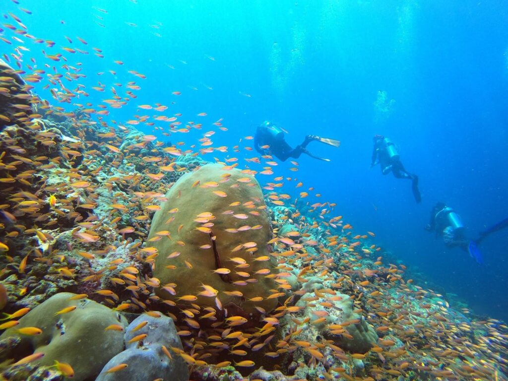 - Nurkowanie na Malediwach [post praktyczny]