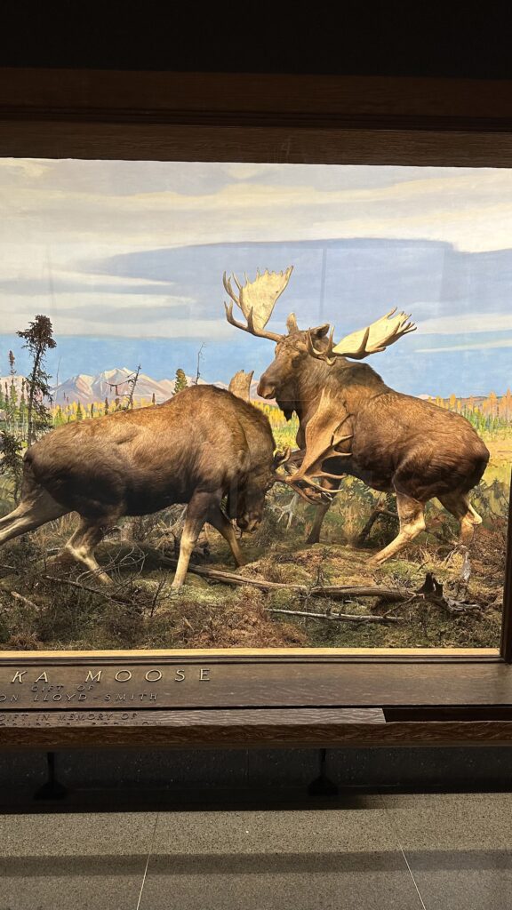 - Nowy Jork w filmach: Miejsca, które musisz odwiedzić!