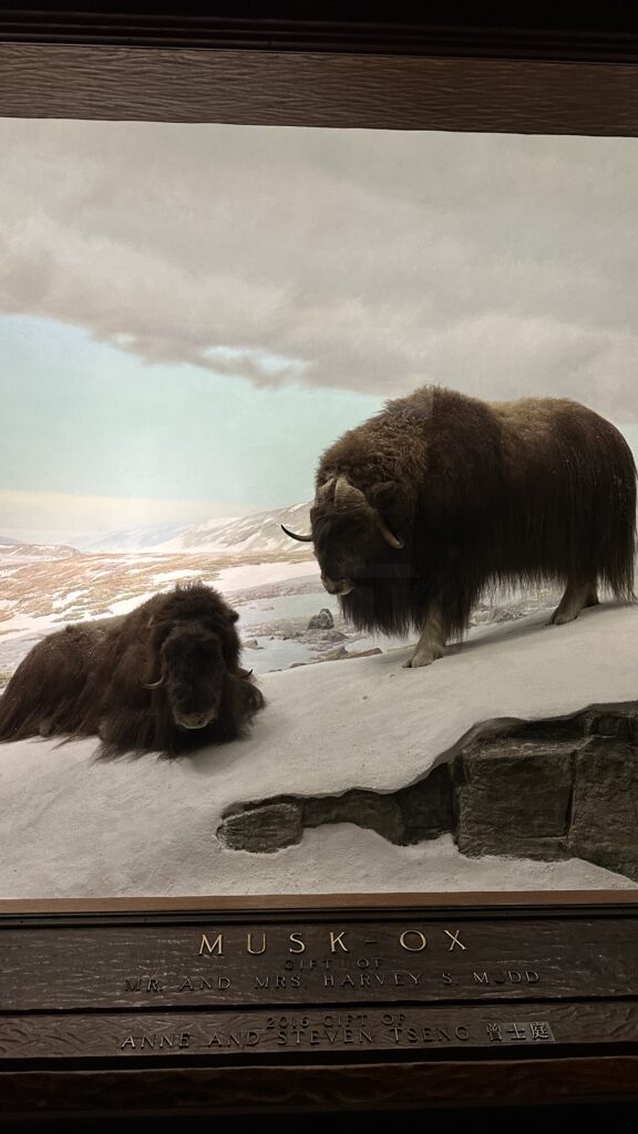 - Nowy Jork w filmach: Miejsca, które musisz odwiedzić!