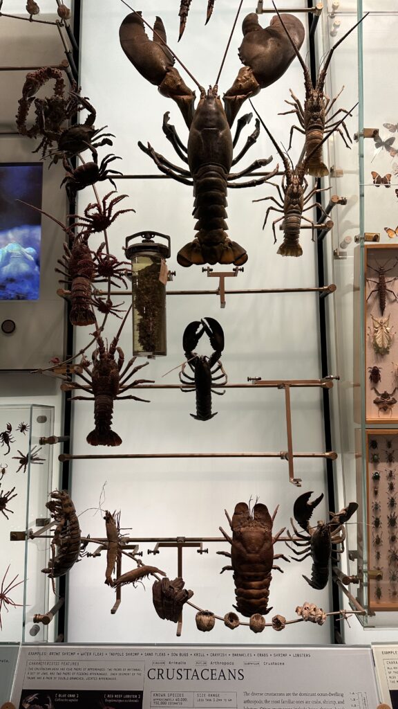 - Nowy Jork w filmach: Miejsca, które musisz odwiedzić!