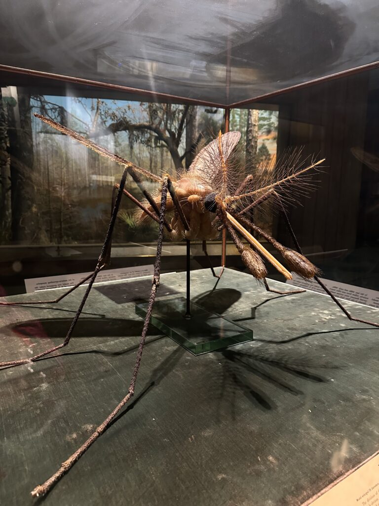 - Nowy Jork w filmach: Miejsca, które musisz odwiedzić!