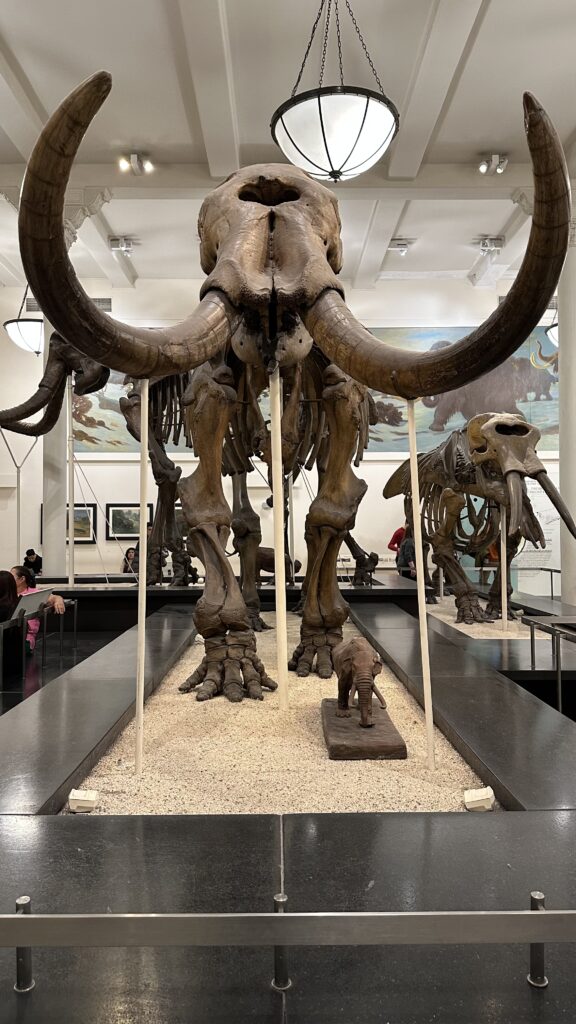 - Nowy Jork w filmach: Miejsca, które musisz odwiedzić!