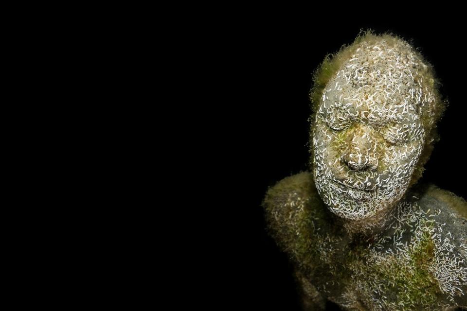 - Podwodne Muzeum – czym jest, gdzie można je zobaczyć.