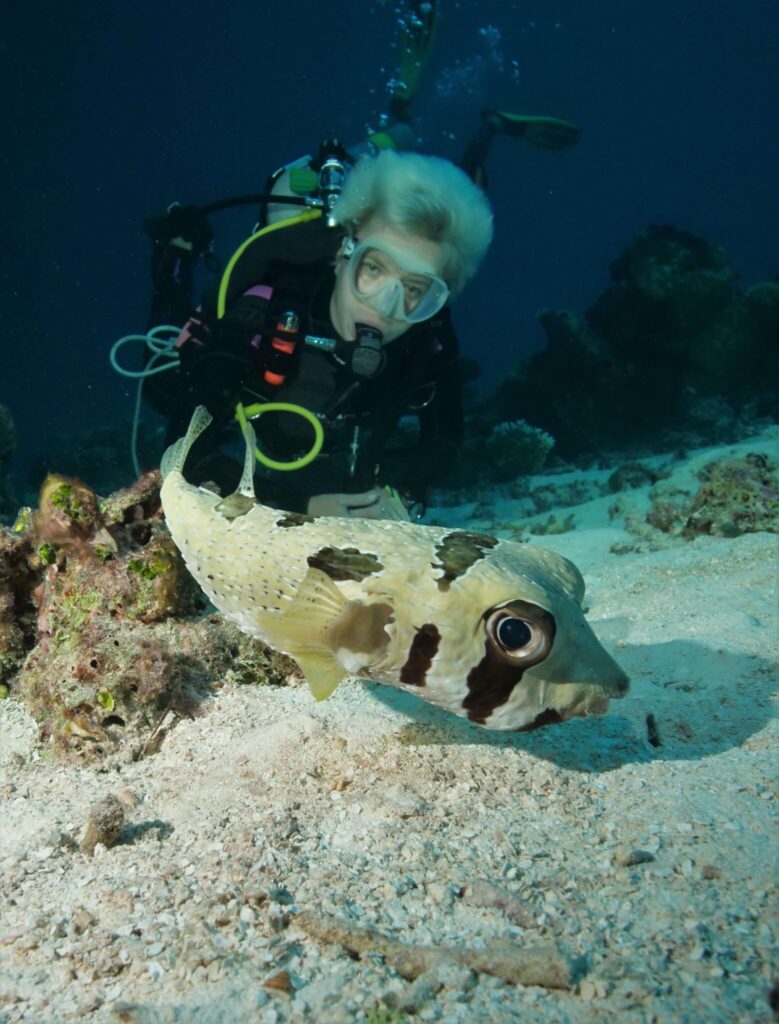 - Jak zostać nurkiem? [Post praktyczny]