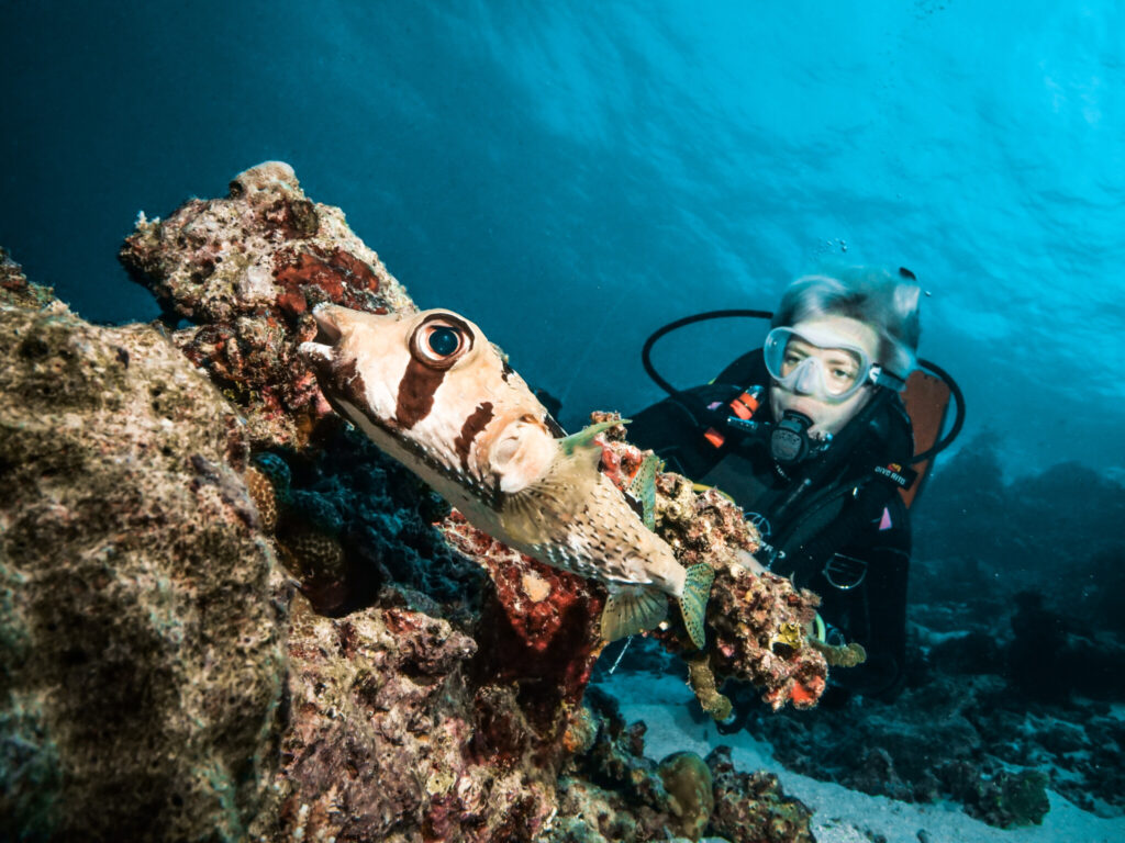 - Jak zostać nurkiem? [Post praktyczny]