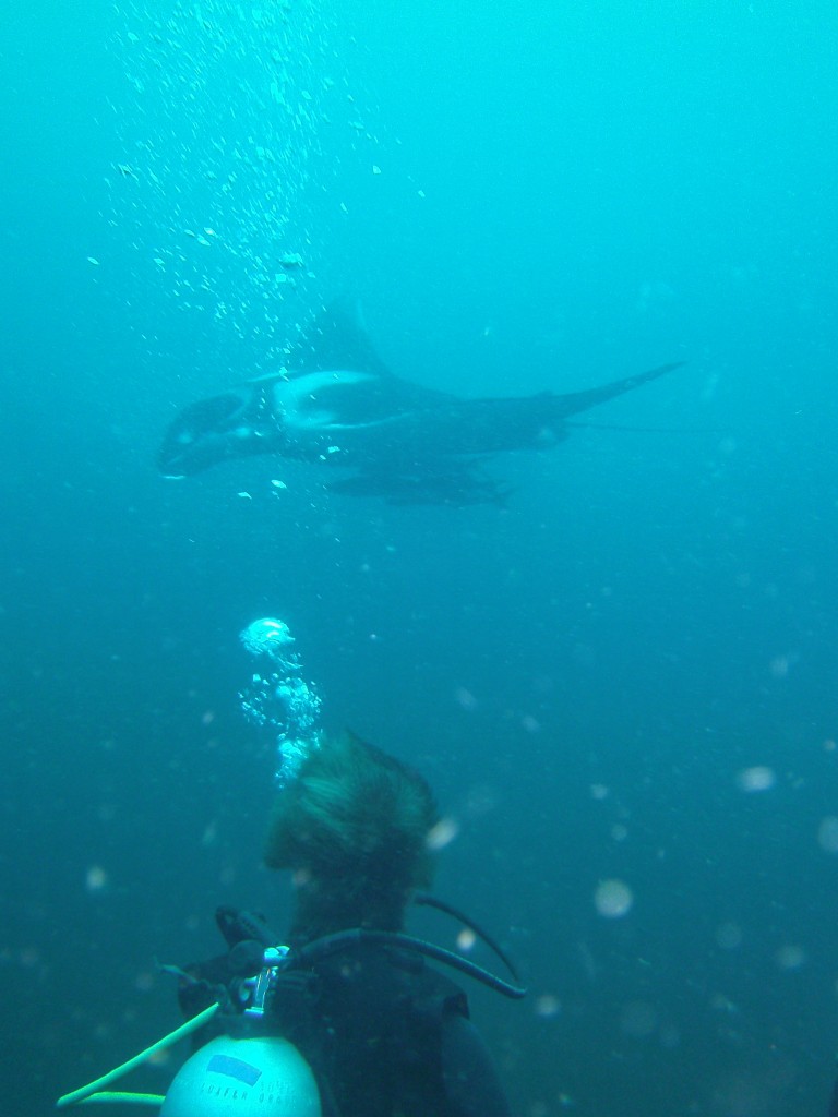 - Najlepsze miejsce do nurkowania w Tajlandii