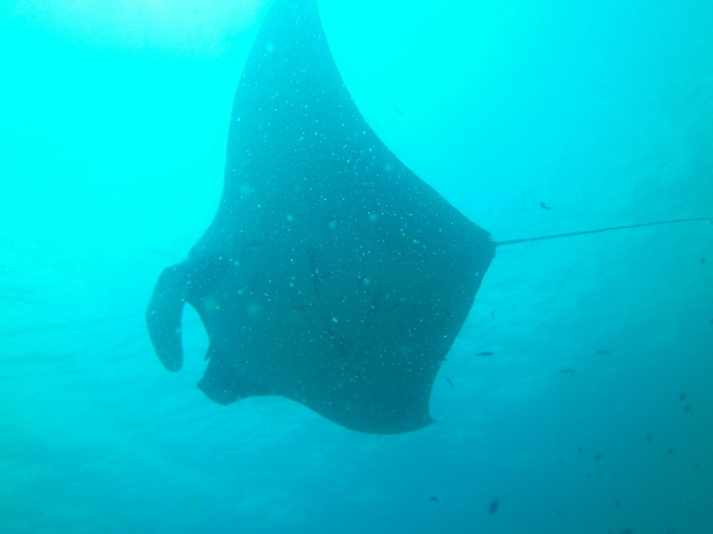 - Najlepsze miejsce do nurkowania w Tajlandii