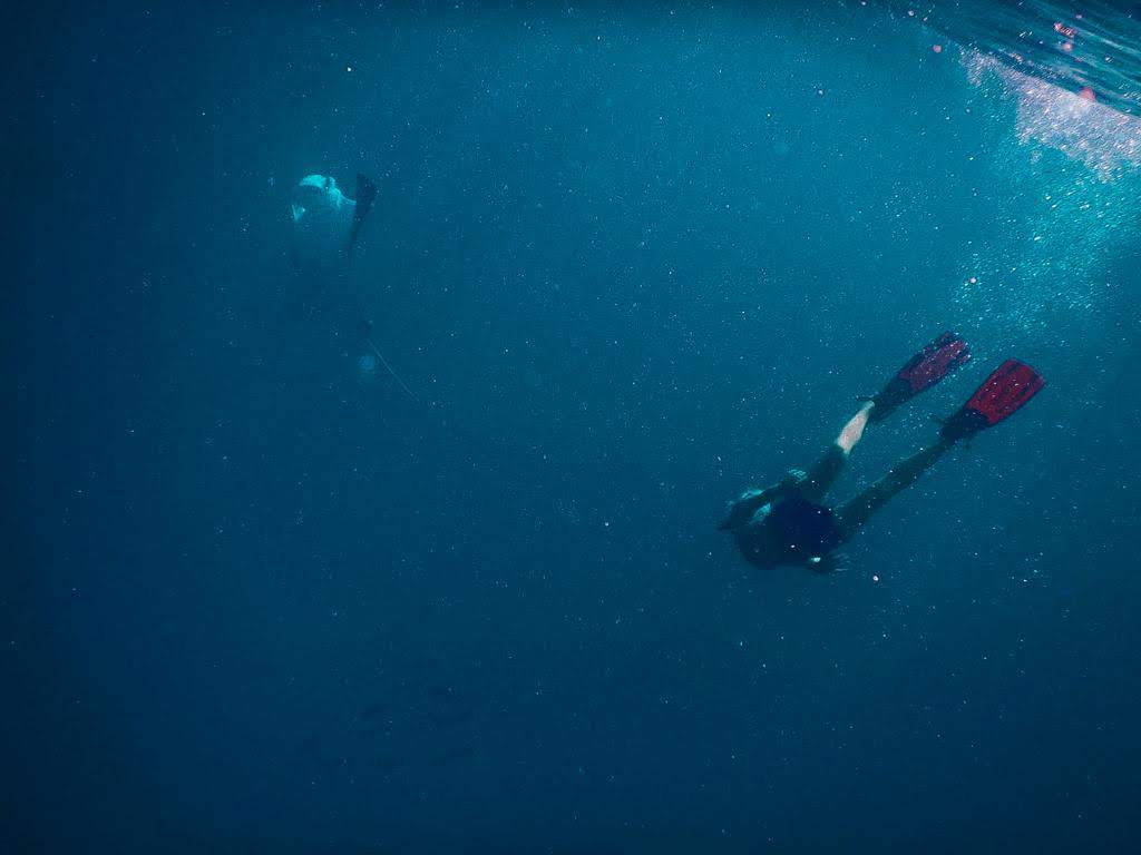 - Pływanie z mantami w Hanifaru Bay na Malediwach [post praktyczny]