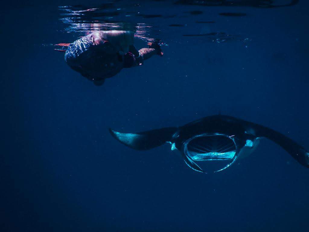 - Pływanie z mantami w Hanifaru Bay na Malediwach [post praktyczny]