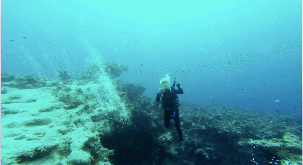 - Master of Disaster, czyli jak zasłużyłam na Magnum