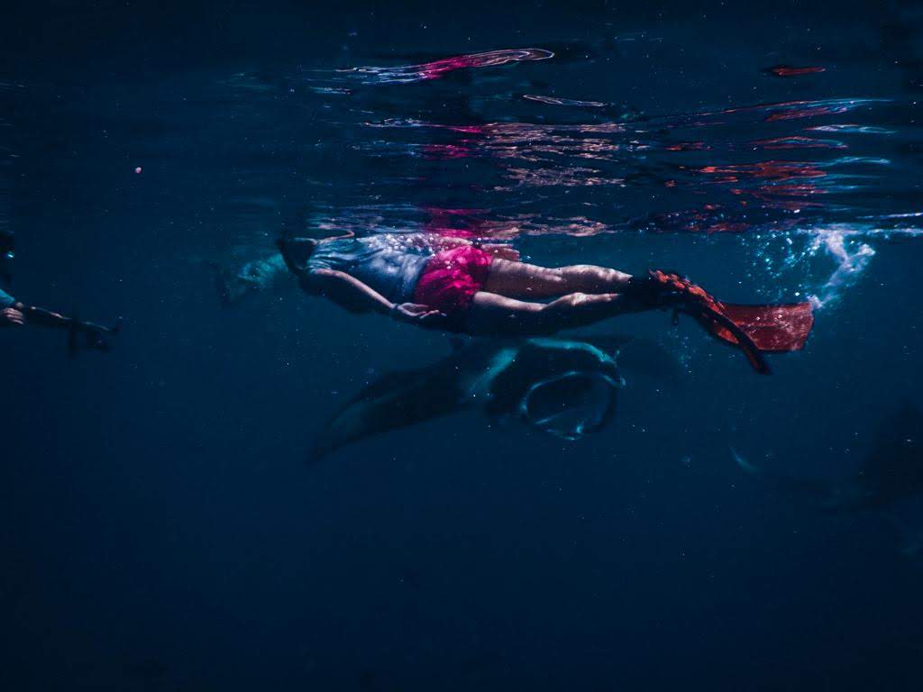 - Pływanie z mantami w Hanifaru Bay na Malediwach [post praktyczny]