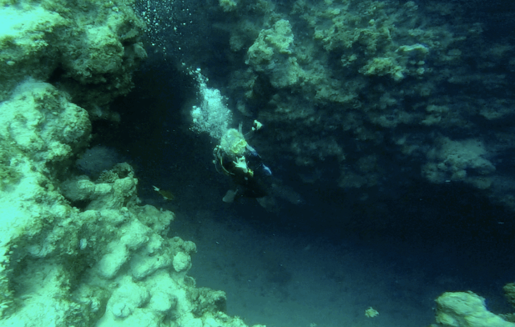 - Master of Disaster, czyli jak zasłużyłam na Magnum